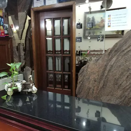 索尔达耐住宅酒店 招待所 波尔图