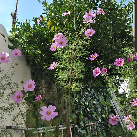 Residencial Sol Da Nave