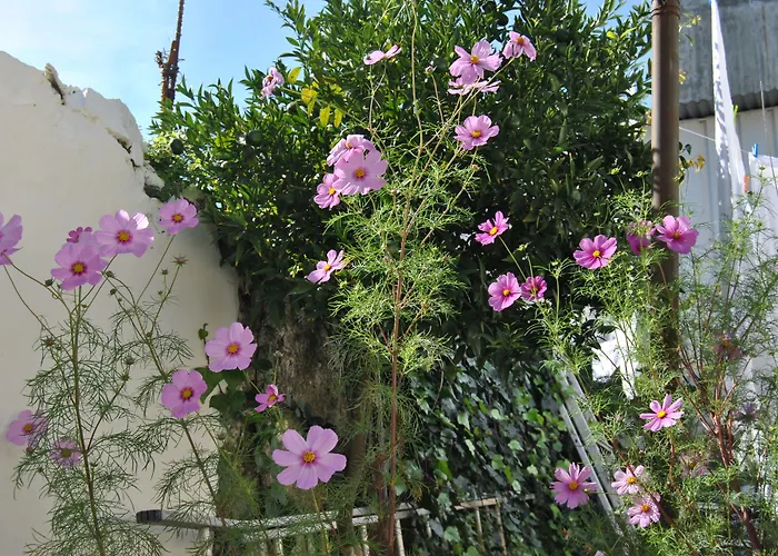 Residencial Sol Da Nave